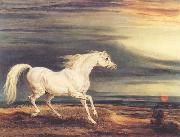 James Ward Napoleon's Horse,Marengo at Waterloo oil on canvas